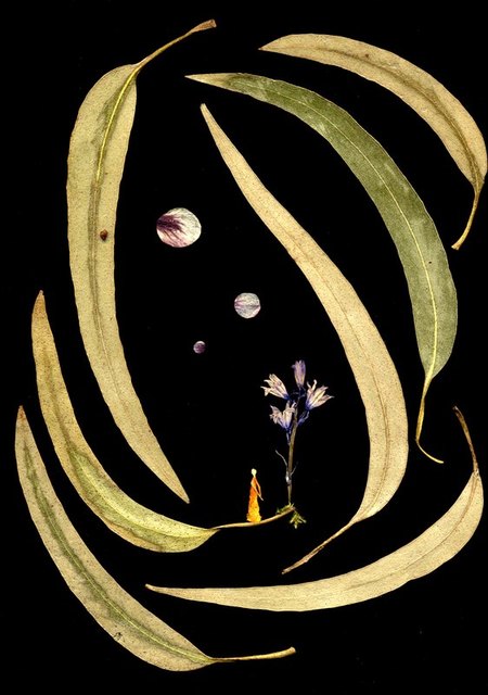 Le temps de voir une fleur